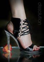 Dissolution by MarcoK74