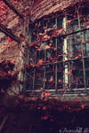 Autumnal window by PrincessInTheShit