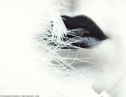 . . . W h i s p e r . . . by PrincessInTheShit