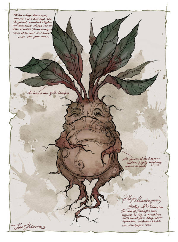 Mandrake by IrenHorrors on DeviantArt