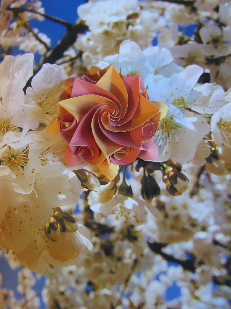 origami modular Aquilegia flower by aarrnnoo0123