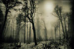 hidden muse by mikrobi808