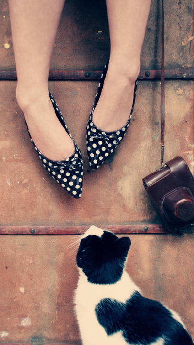 Curiosity by jojobatanesi