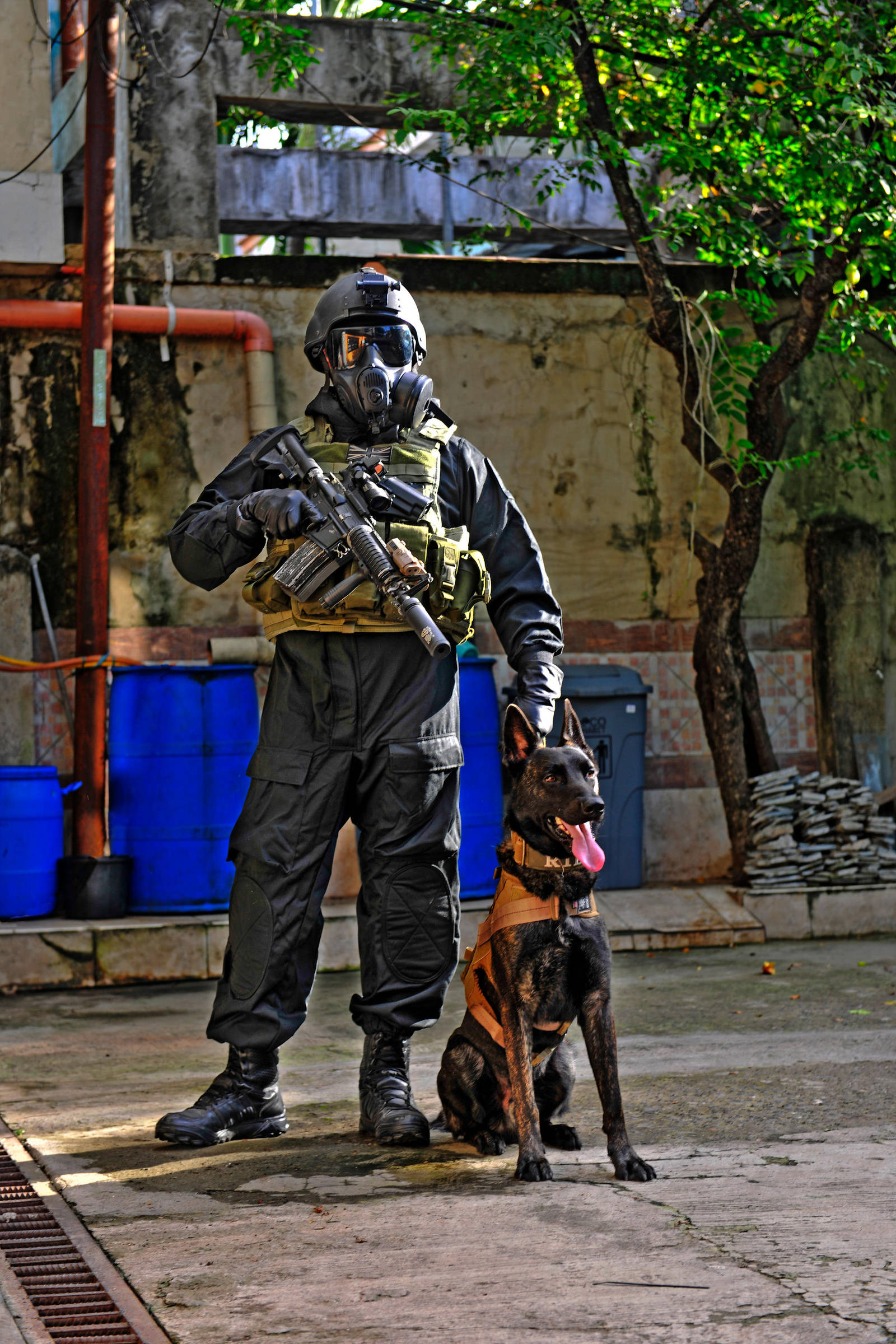 SAS K9 by ReijiKageyama on DeviantArt