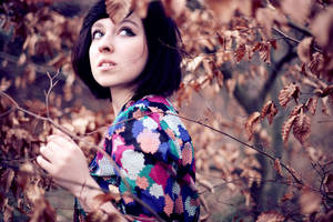 memories of autumn xvii by farbanomalie