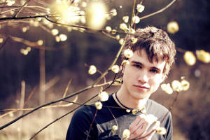 sun glare viii by farbanomalie