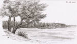 Tree by the lake by HappyGloom