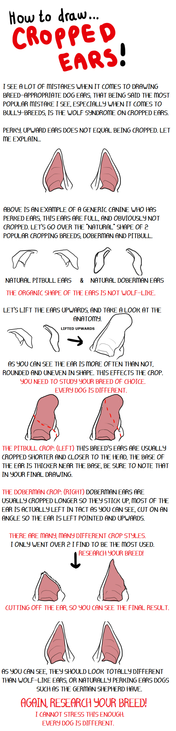 Cropped Ear Tutorial by kahvei on DeviantArt