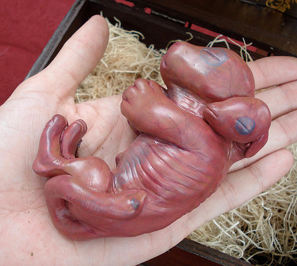Rotbeest's fetal Chimera 2 by missmonster