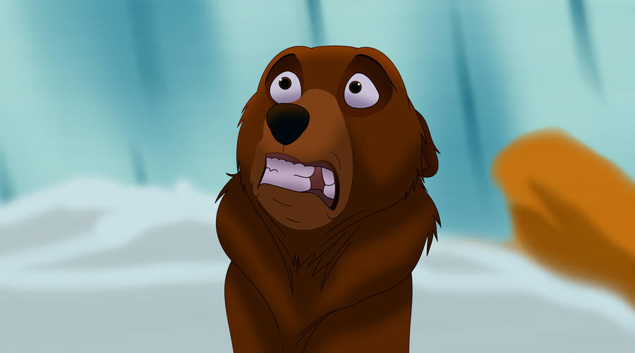 Brother Bear favourites by AlexAceves30 on DeviantArt