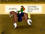 BMa Draft Show- Western Riding by Shayla-Estate