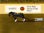 BMa Draft Show- Weight Pull 1 by Shayla-Estate