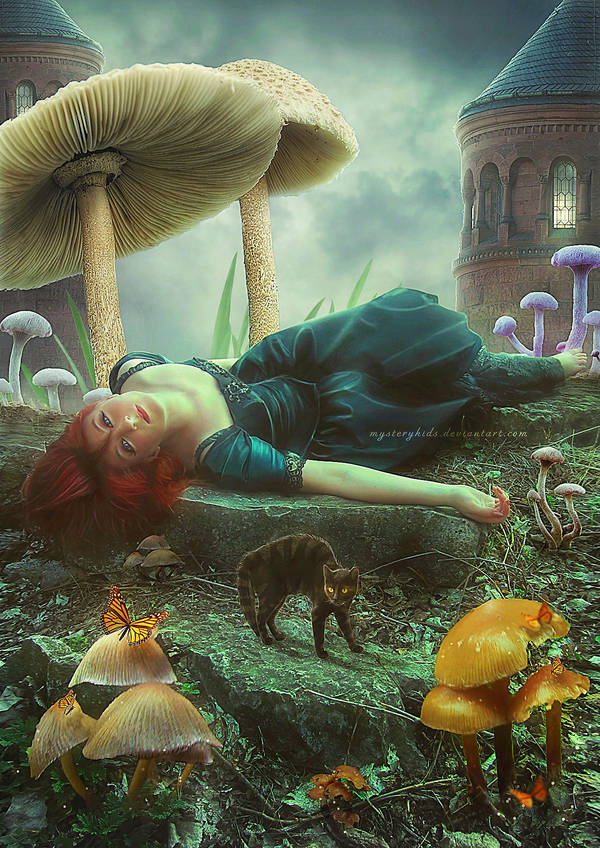 Wonderland by ChieuMua Wonderland by ChieuMua