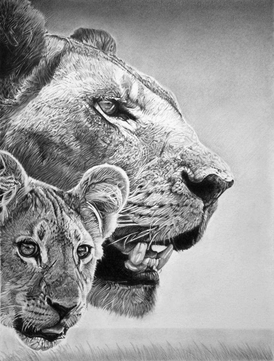 Simba and Sarabi by francoclun