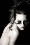 Feathers by passionphoto