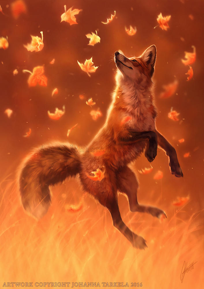 Jump Into Fall by Lhuin