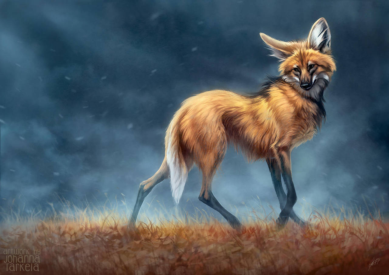 Watchful + Video by Lhuin