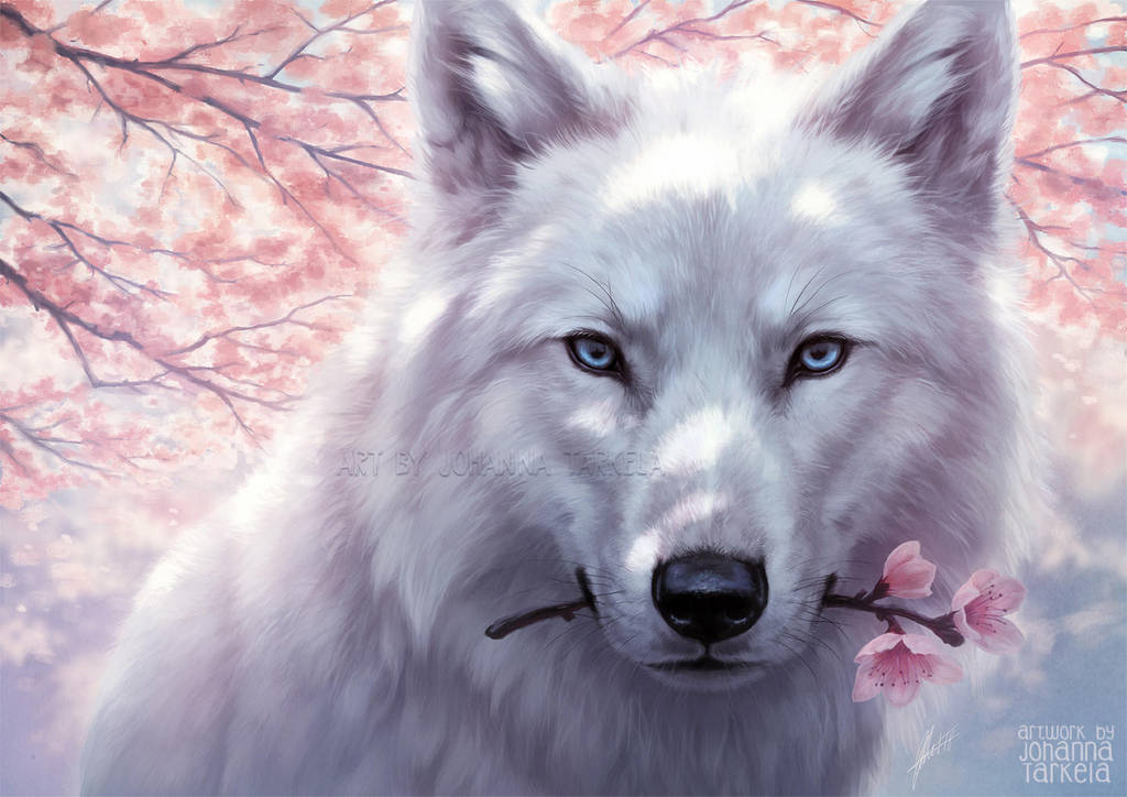 White and Pink by Lhuin