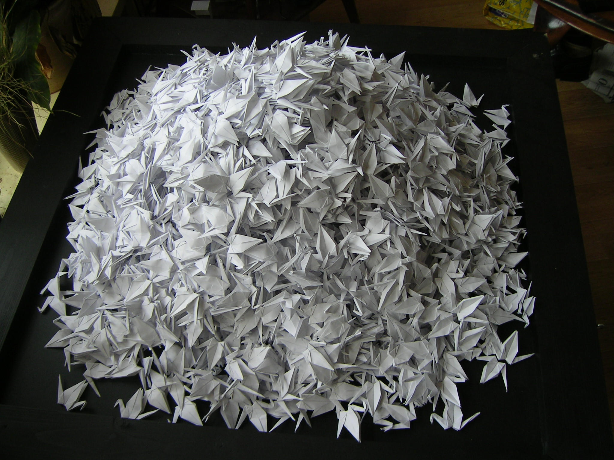 3000 cranes by MannaOri