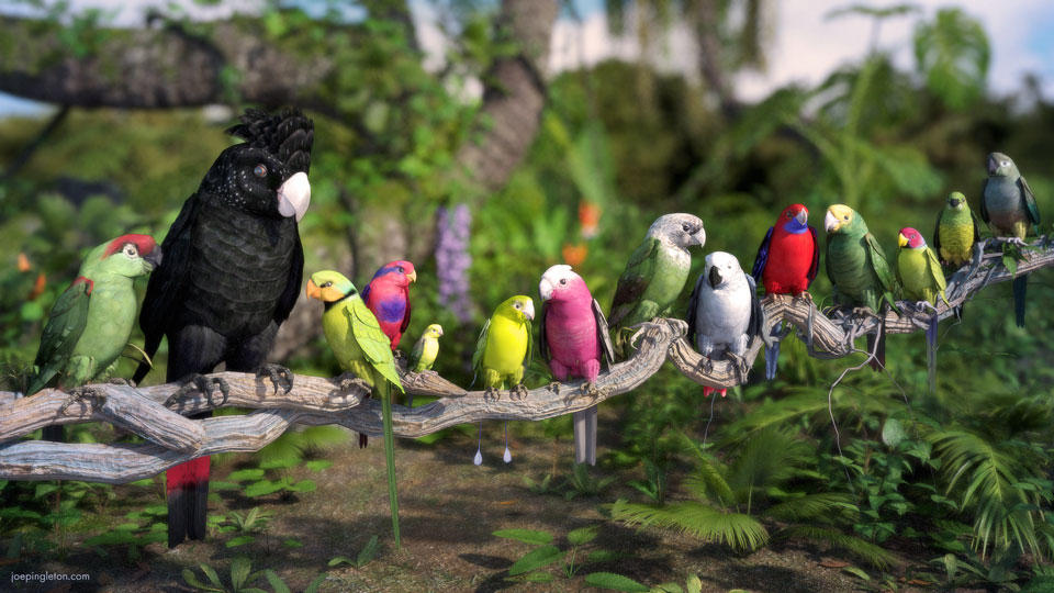Parrot Party by JoePingleton