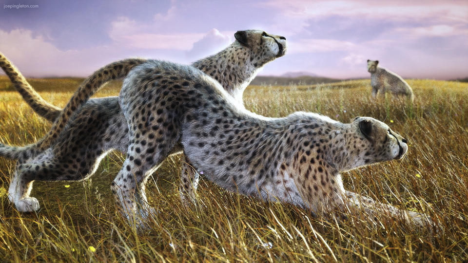 Always Stretch Before a Run by JoePingleton