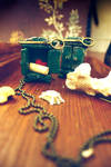 The Curious Cupboard - Locket by sixAstray