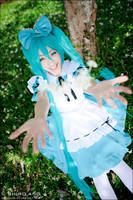 Alice in Musicland - 01 by shiroang