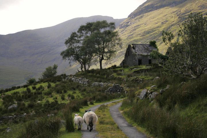 +Ireland+ by Faded-Sun