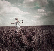 Explore... by Angel-Soul