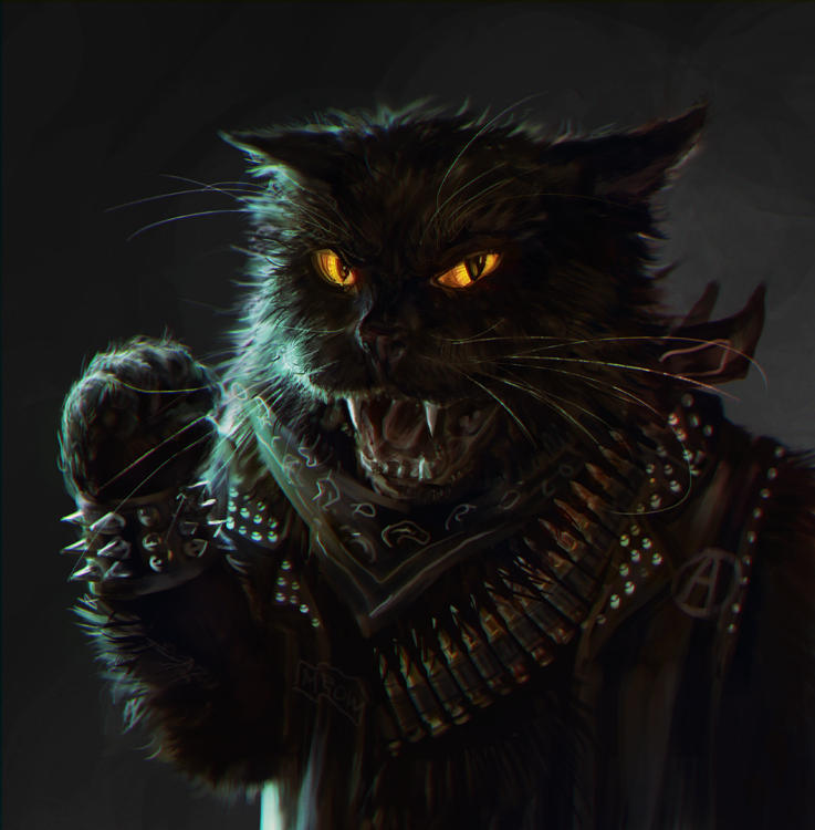 Anarkitty by anotherwanderer