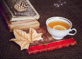 Old books..old winds by Cochalita