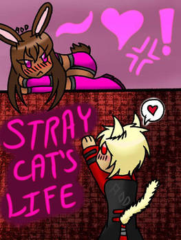 StrayCatsLife by forestchick501