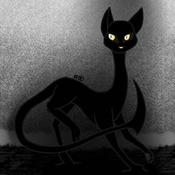 Kitten Ref 1 by forestchick501