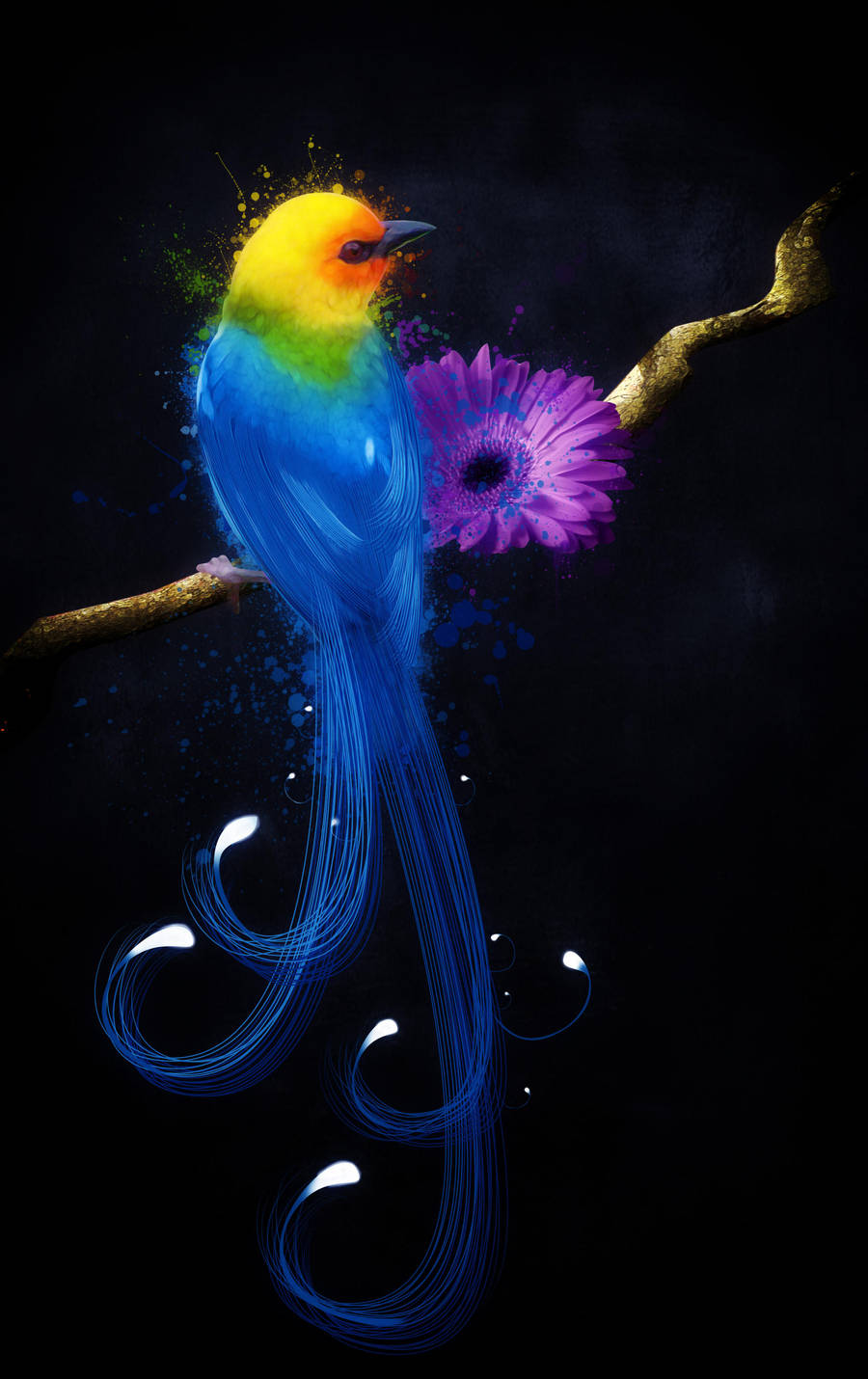 A Bird's Soul by Azzura98