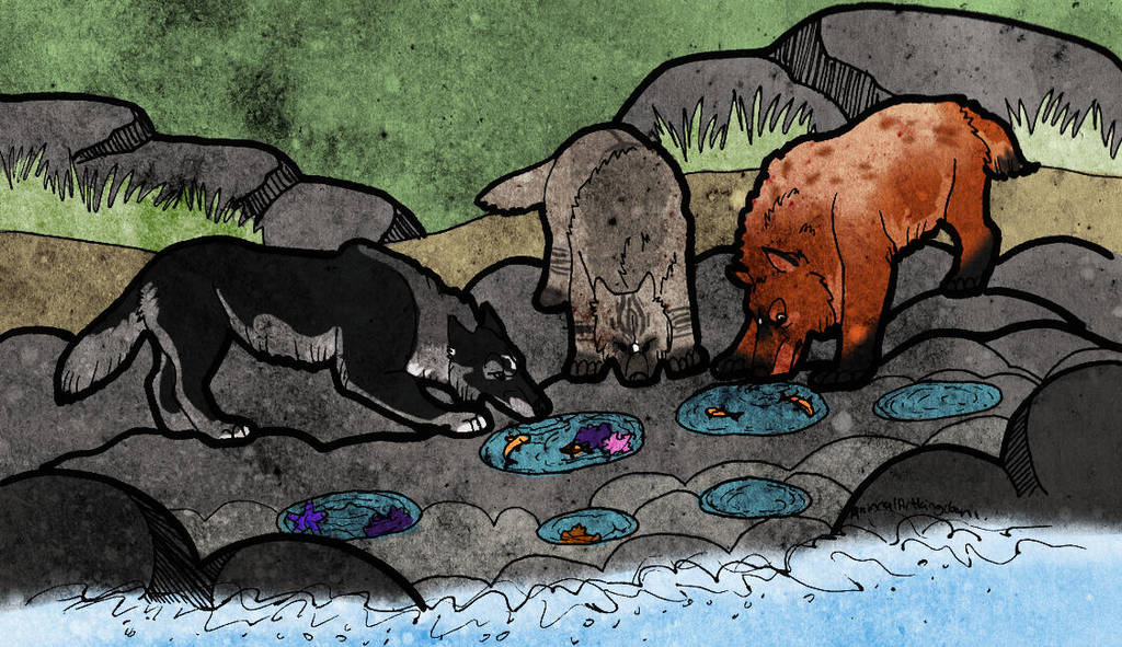The Ocean Pools by AnimalArtKingdom