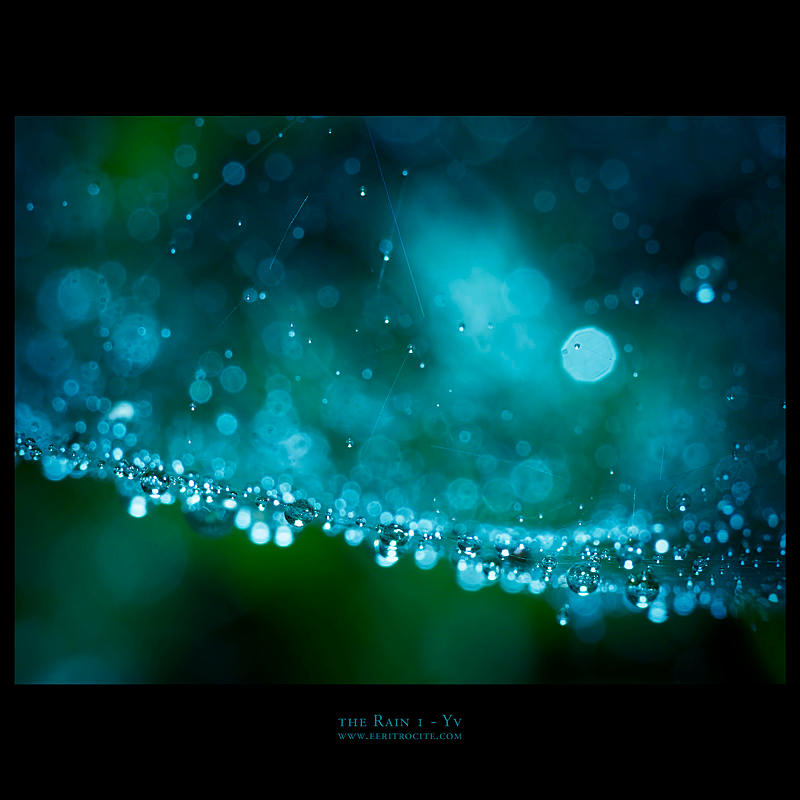 the Rain 1 by yv