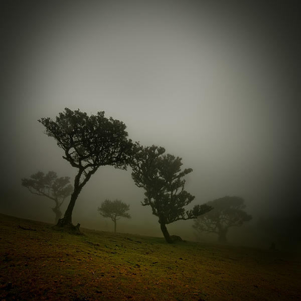 Turn to Me - Fanal 2 by yv