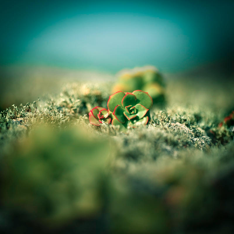 Masdache 1 - Together by yv