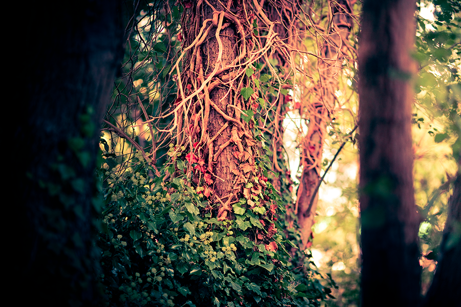 secrets by yv