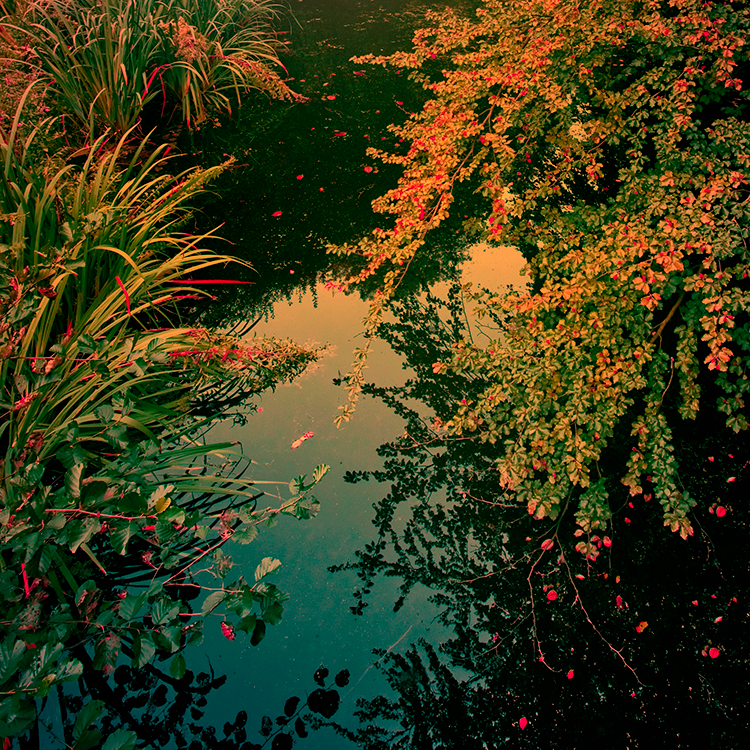 Gifts for the Water by yv