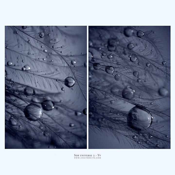 sob universe 3 by yv