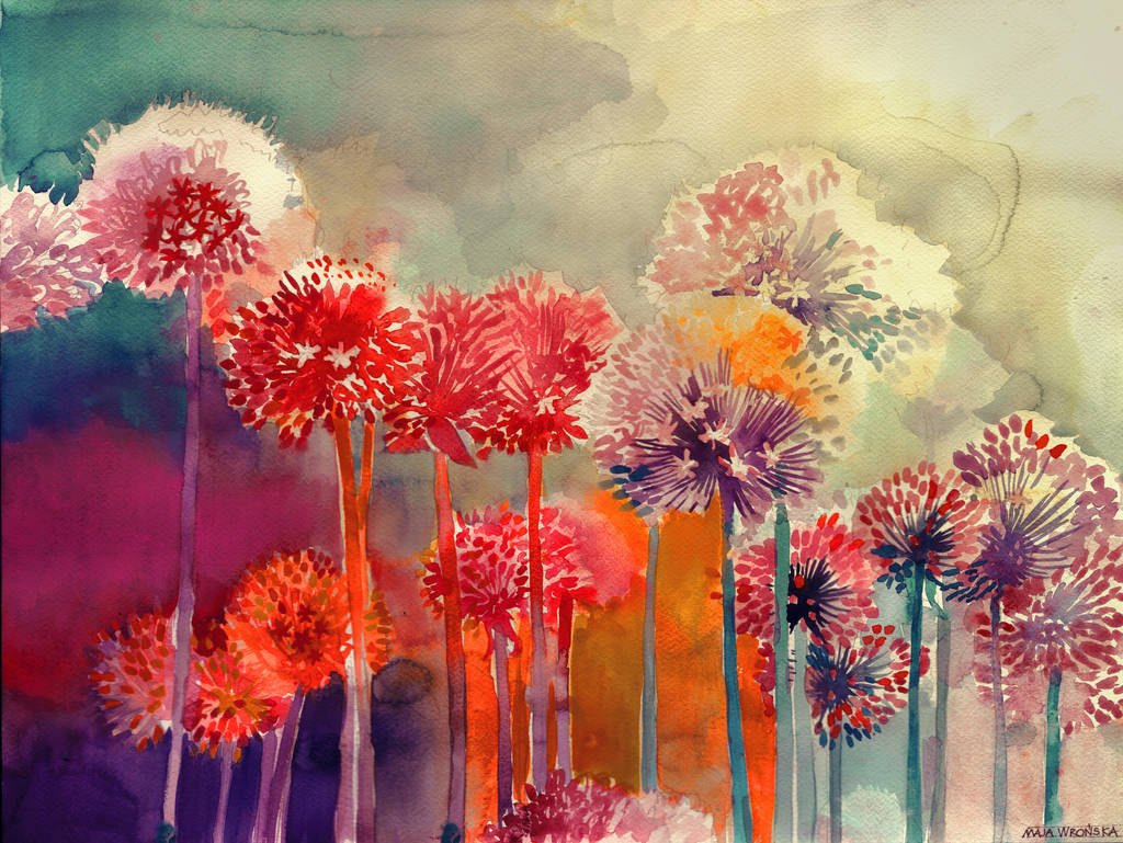 Allium