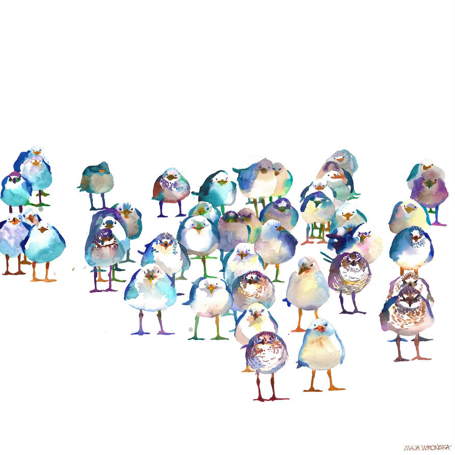 Winter Birds by takmaj
