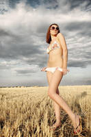 News from fields 2 by ixabar