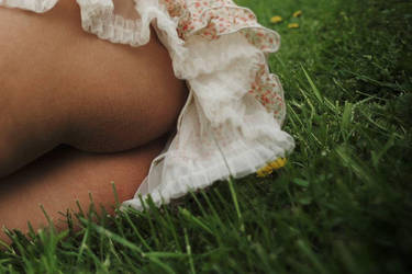 On the Grass by ixabar