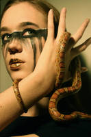 Fallen Star 3 by carpenoctem410