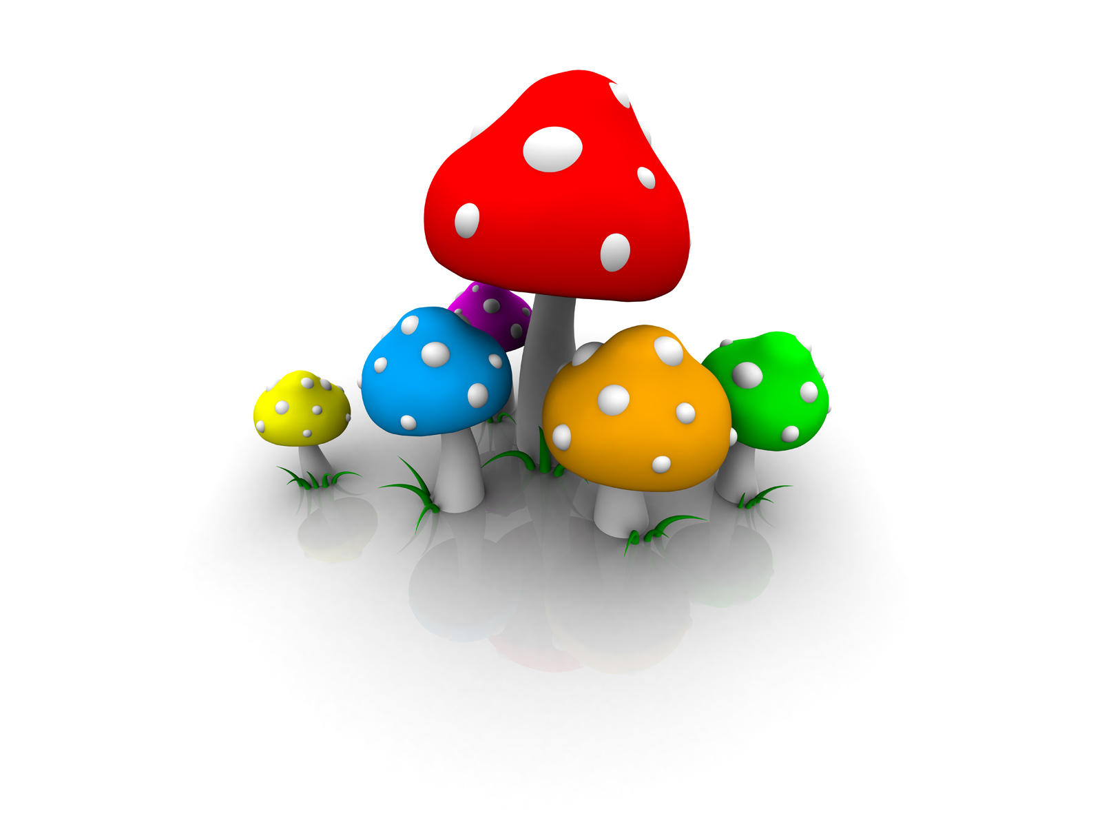 Fly Agaric, Fly Hawaii by smashmethod