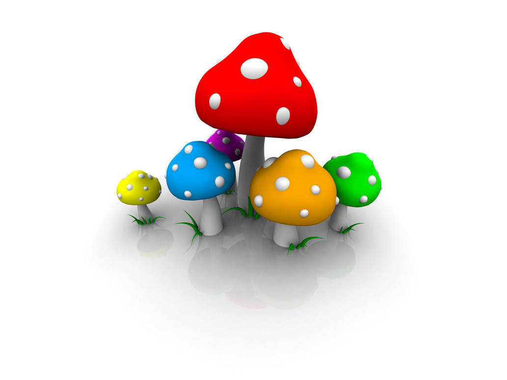 Fly Agaric, Fly Hawaii by smashmethod