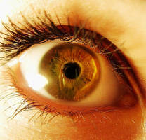 pretty Macro by AlinaGorn