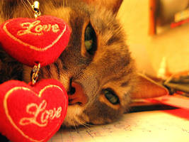 Purrr.. by AlinaGorn